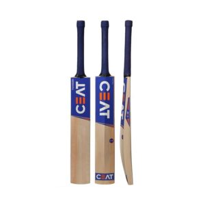 Kashmir Willow Cricket Bat (Adult)