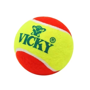 Hard Tennis Ball